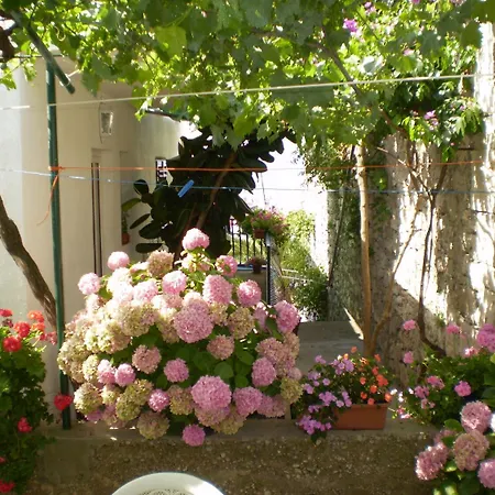 Smi - Large Terrace Сучурай